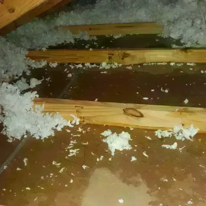 Attic Water Damage in Somervell County, TX